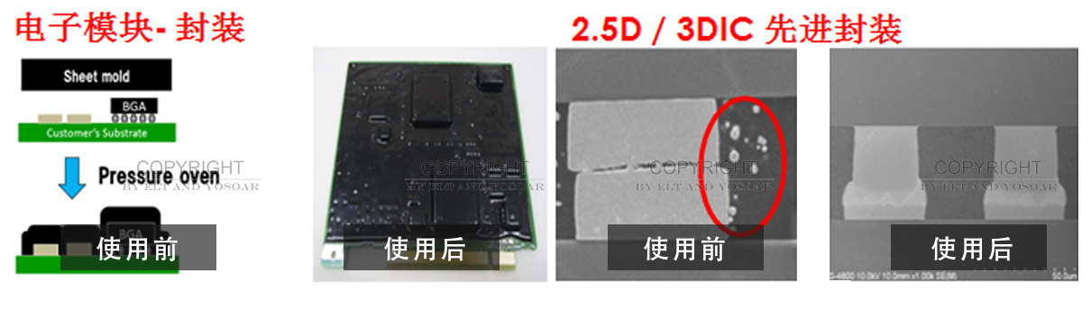半导体除午夜福利H视频处女强迫